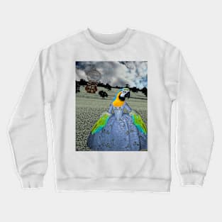 Princess de Macaw Crewneck Sweatshirt